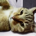 Amanda Chia - @AmandaCHM - Twitter