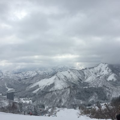 shi83085238497's profile picture. 都内国立の経済学部生です！