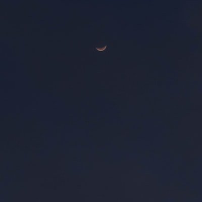 Arnoldo32549194's profile picture. 