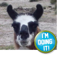 llama_san's profile picture. I like llama more than alpaca.　Can you be my friend? 
http://t.co/tS33ZQWHWB