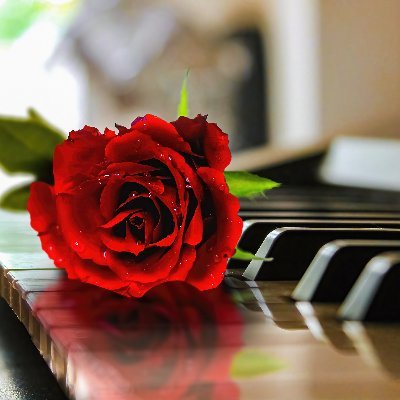毎週日曜20時よりピアノスペース「RedSnowのPianoきいてちょ~だい♡」開催。リクエストは1曲ずつ文字でDMかリプ受付。音源無断転用禁止。耳コピや生演奏依頼は応有料相談。JASRAC許諾第J230337786号