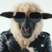Buford (@hopa4eva) Twitter profile photo Buford (@hopa4eva) Twitter profile photo