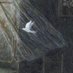 - هِنـدام . (@_2iiln) Twitter profile photo - هِنـدام . (@_2iiln) Twitter profile photo