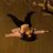 unknow_srn's profile image