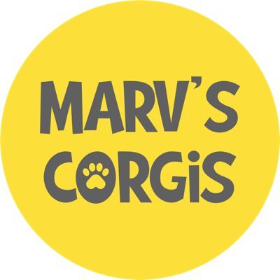 marvscorgis Profile Picture