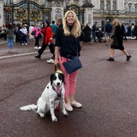 Cath Leng (@leng_cath) 's Twitter Profile Photo Cath Leng (@leng_cath) 's Twitter Profile Photo