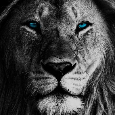 dami1lb's profile picture. 