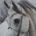 Dalal (@dss10234417) Twitter profile photo Dalal (@dss10234417) Twitter profile photo