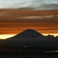 辛止 (@pw61t46yivuj3yg) 's Twitter Profile