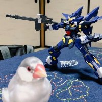 越路しかご(K.O) (@ko_shikago) 's Twitter Profile Photo 越路しかご(K.O) (@ko_shikago) 's Twitter Profile Photo