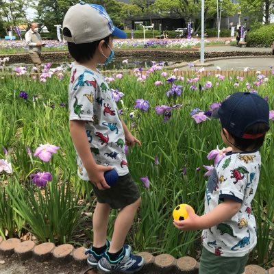 虫とポケモン好きの8歳と4歳の、ヤンチャな兄弟の母です( ởㅂở)و つくば市に転勤で数年ぶりに出戻りしたので、周辺の情報交換が出来たら〜と思ってます✨