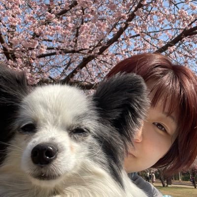 りこちゃんさんのプロフィール画像