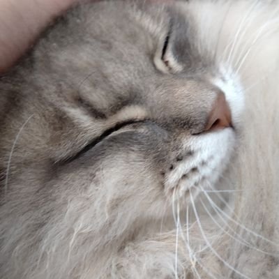 CS9tfbcupi39241's profile picture. ホイヤールビー垢デビューしました！！
id→34397243