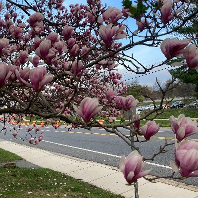 anjali1092's profile picture. climate change mitigation, just transition, energy & development