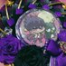 宇宙牌香烟 (@anjameat) Twitter profile photo 宇宙牌香烟 (@anjameat) Twitter profile photo
