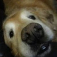 Kim Heiman (@kimberlyheiman2) 's Twitter Profile Photo