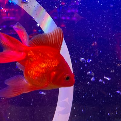 Klein__19's profile picture. 