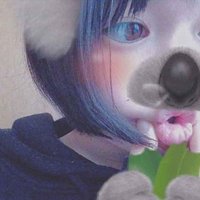 とうか🐬 (@touk04159896) 's Twitter Profile