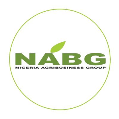 NABG_ng Profile Picture