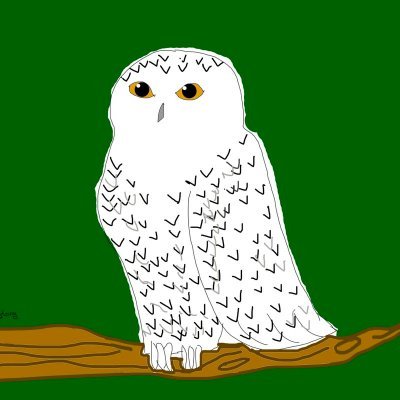 NaranjadaDLimon's profile picture. A veces resulto gracioso