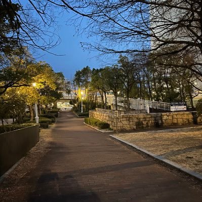 azara_nu's profile picture. 