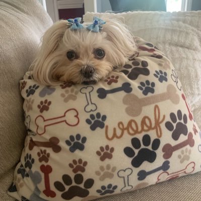 🌸 My hubby, my kids and my puppy are my life. 🏡Homemaker, Homeschool, Catholic, Bama grad ‘96