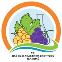 Bağcılık Araştırma Enstitüsü(@bagcilik) 's Twitter Profile Photo