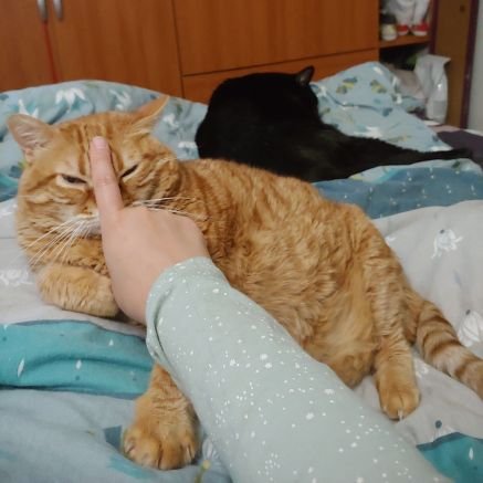 amerie_thz's profile picture. Proyecto de escritora a ratos libres, orgullosa de ser ARMY 💜💜

https://t.co/R5shuTMLcQ