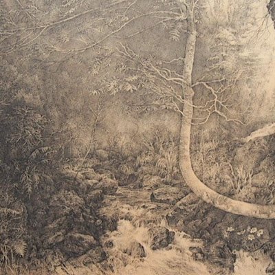 DavidChan17867's profile picture. 