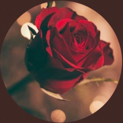 miki✞✟♥️🥀♥️ 𝓐𝓵𝓲𝓬𝓮さんのプロフィール画像