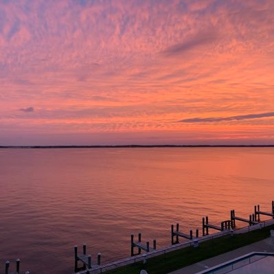 KerryStossel's profile picture. 