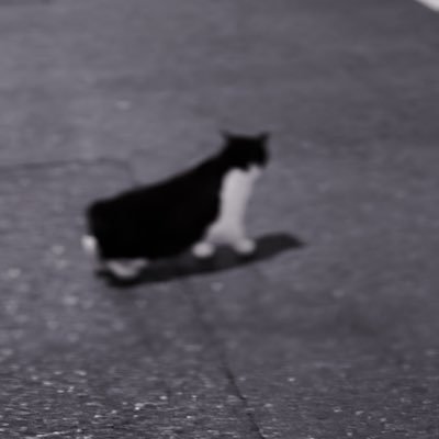 またねさんのプロフィール画像