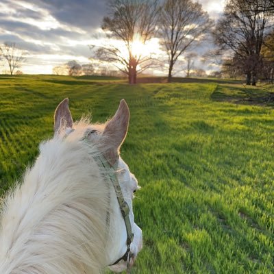 Happily married, amazing horses what else do you need!