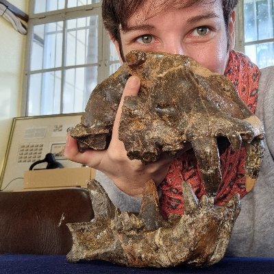 PhD student (@CNRS_Toulouse ; @umr5608_traces) in palaeontology & palaeoecology 

~ #carnivores #Plio_Pleistocene #SouthernAfrica ~