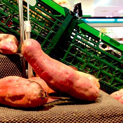 happy_tntn's profile picture. 会社の愚痴の代わりに🔞を呟く