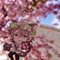ほわもか (@candy07knight) 's Twitter Profile
