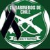 Arturo 🇨🇱 💚💚💚 (@artupe8) Twitter profile photo Arturo 🇨🇱 💚💚💚 (@artupe8) Twitter profile photo