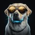 Rogue (@r0guerig) Twitter profile photo