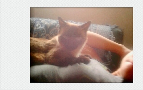 clara_ponte's profile picture. 