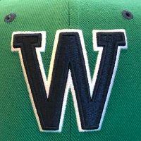 WHSBaseball(@WHSFalconBB) 's Twitter Profile Photo