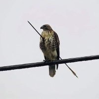 No one (@where_my_self) 's Twitter Profile Photo No one (@where_my_self) 's Twitter Profile Photo