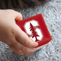 Stanford Center on Early Childhood(@Stanford_CEC) 's Twitter Profile Photo