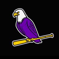 Civic Memorial Baseball(@C_M_Baseball) 's Twitter Profile Photo