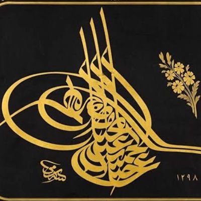 AliAli52396504's profile picture. 