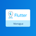 Flutter Managua 🇳🇮💙 (@FlutterMGA) Twitter profile photo