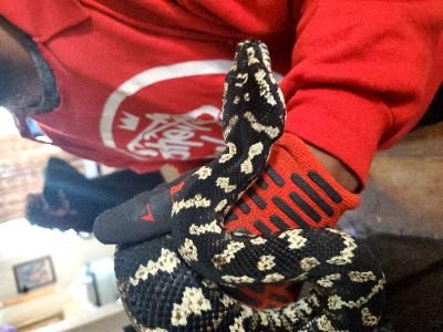 DeepDelPaso's profile picture. Black Male. Lookin At It. Kik DPHBBrazy. i💜 twitter community. It Truly Means Alot To Me. I Can Once Again Post My Sexual Fantasies,Wants, Yearnings. #BBC #Sex