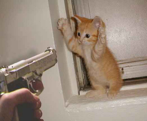 Alex_Eva2110200's profile picture. 