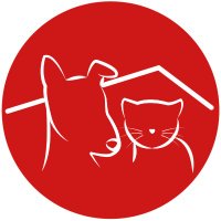 El Refugio (@apaelrefugio) 's Twitter Profile