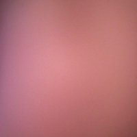 niagggoxlso (@niagggoxlso) 's Twitter Profile
