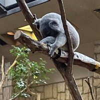 【成功への道標】相互フォロー (@andrewmayhall) 's Twitter Profile